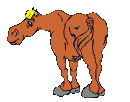 sale icon
